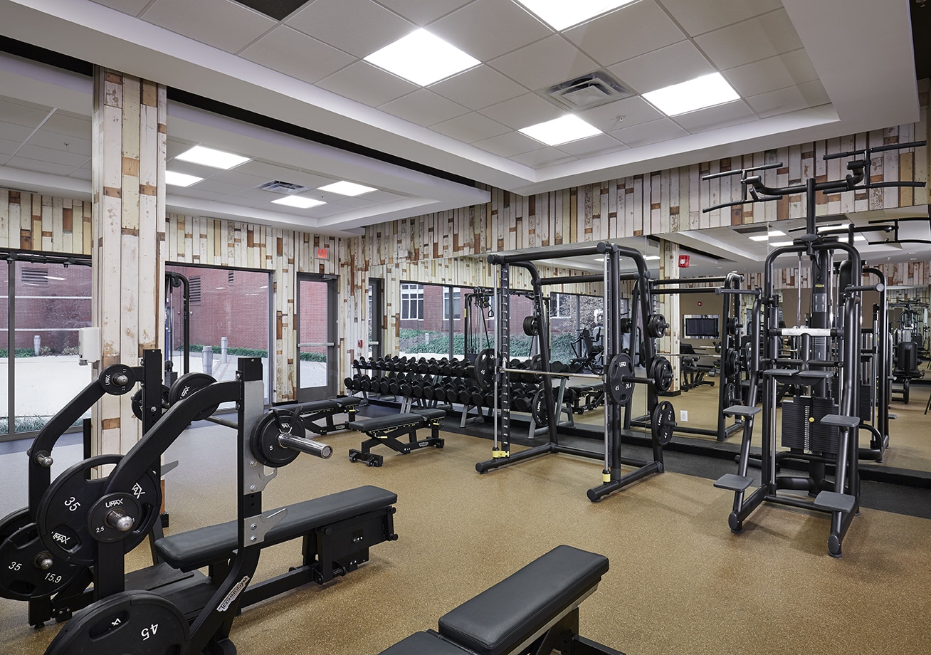 bench press, barbells and dumbells in apartment gym
